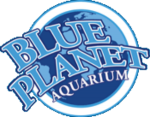 blueplanetaquarium.com