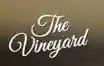vineyardbelfast.co.uk